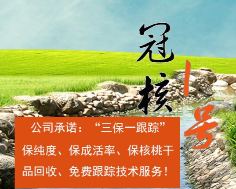 三保一跟踪