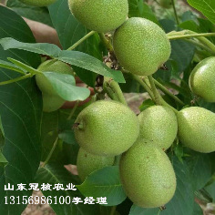 山东冠核农业开发有限公司