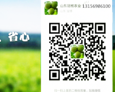 省心放心