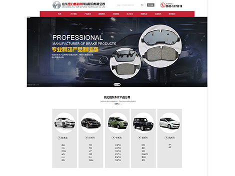 山东金力新材料科技股份有限公司