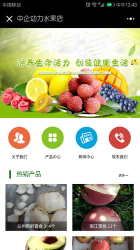 星欧娱乐水果店