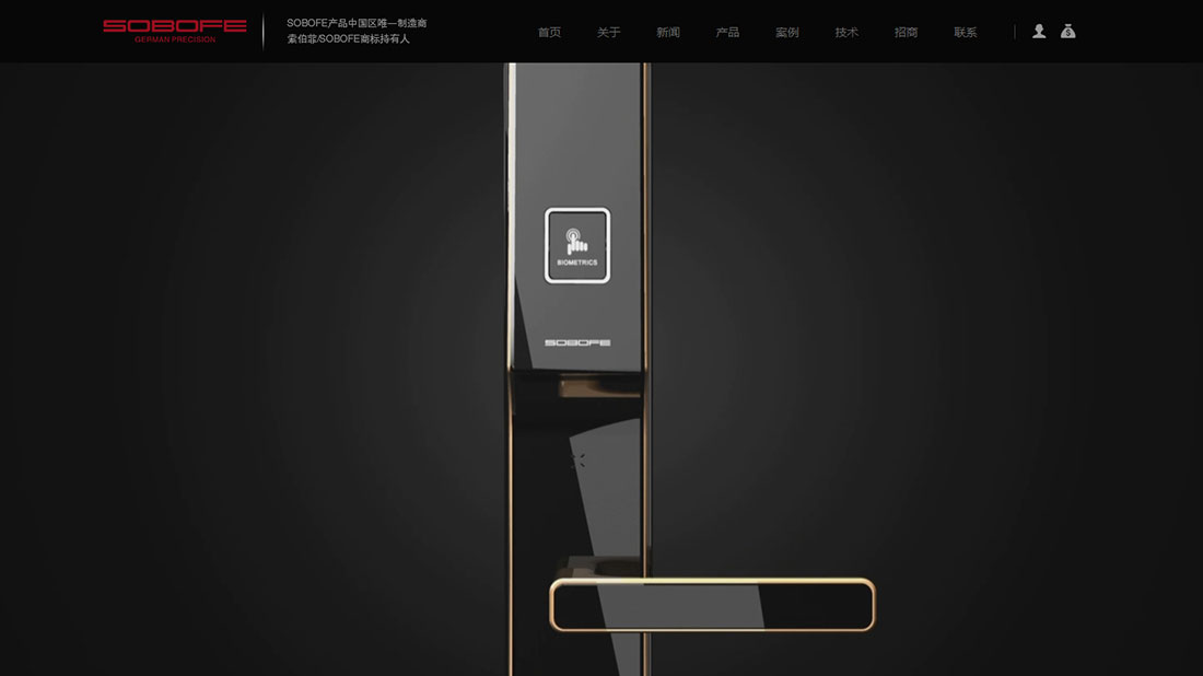 IT互联网网站案例