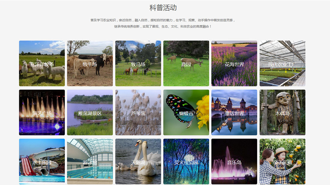 酒店旅游网站案例