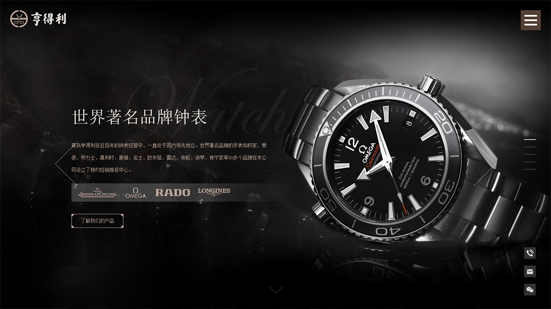 珠宝首饰网站案例