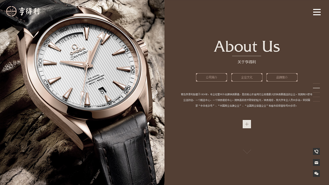 珠宝首饰网站案例