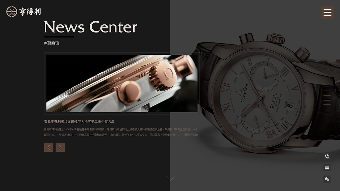 珠宝首饰网站案例