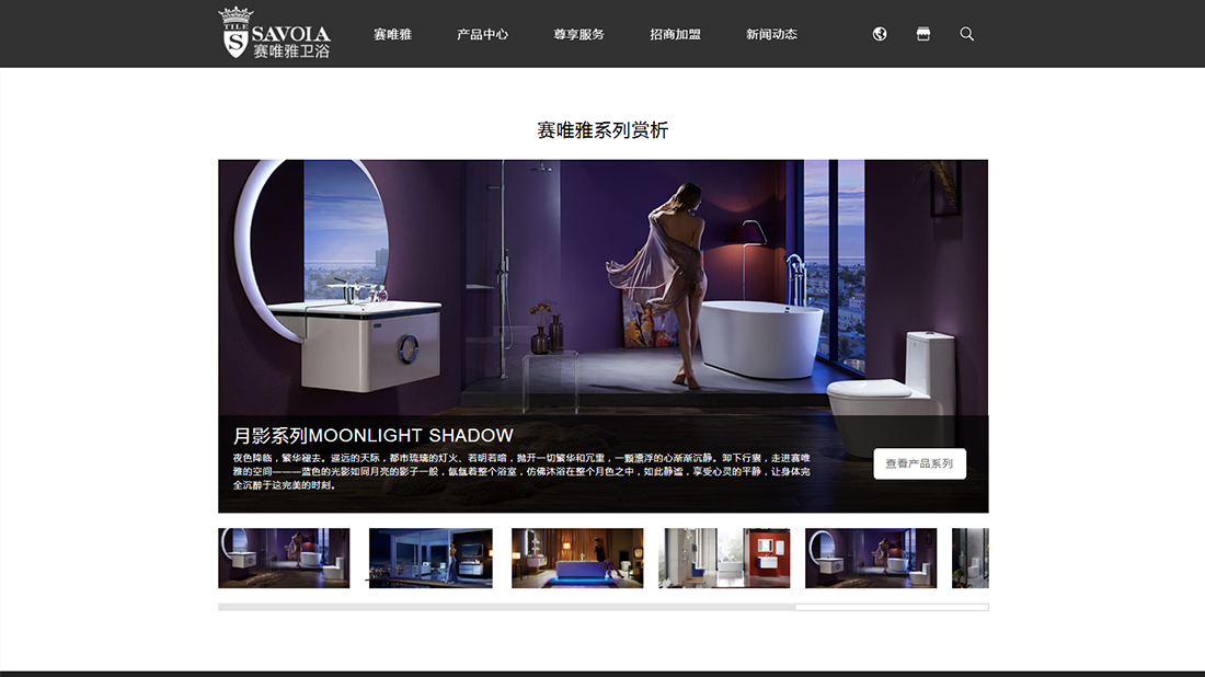 家装建材网站案例