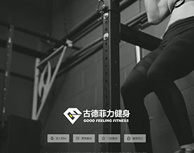 古德菲力投资管理有限公司