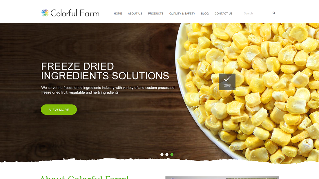 外贸进出口网站案例