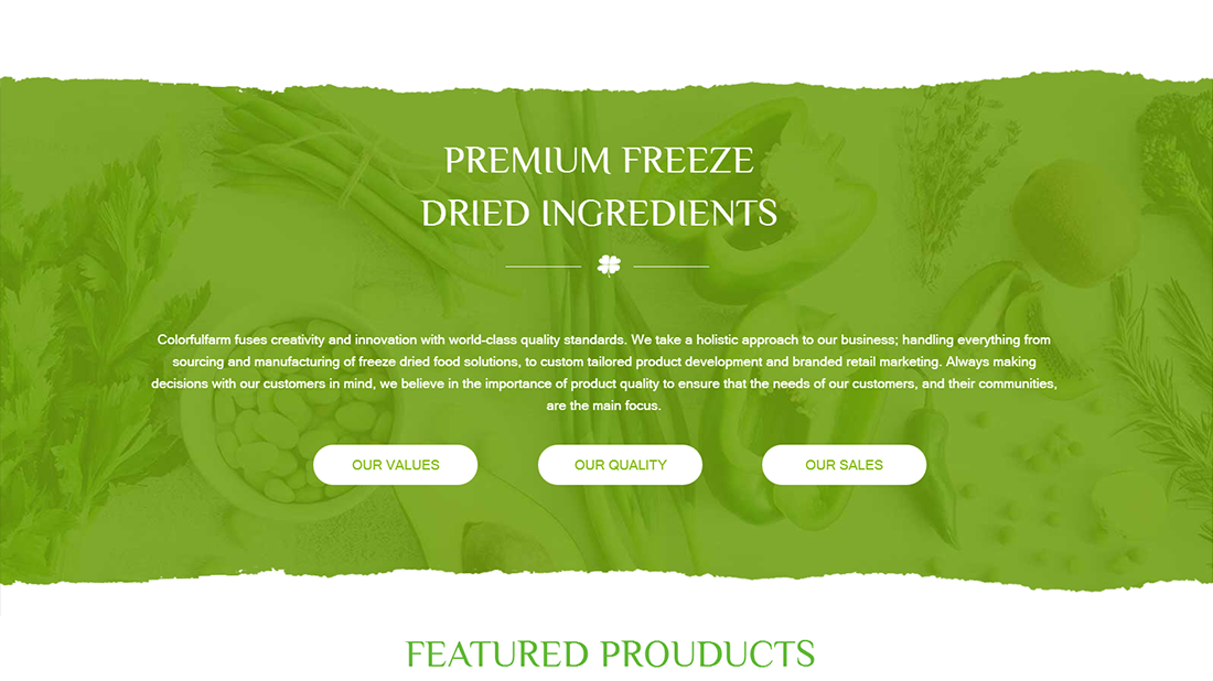 外贸进出口网站案例