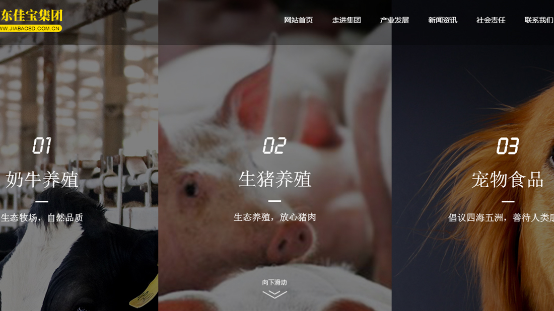 农副产品网站案例