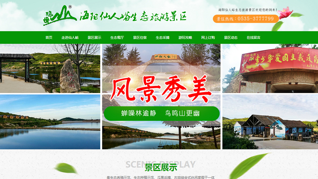 网站案例
