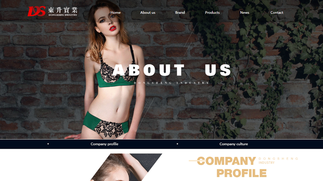 纺织服装/外贸进出口网站案例