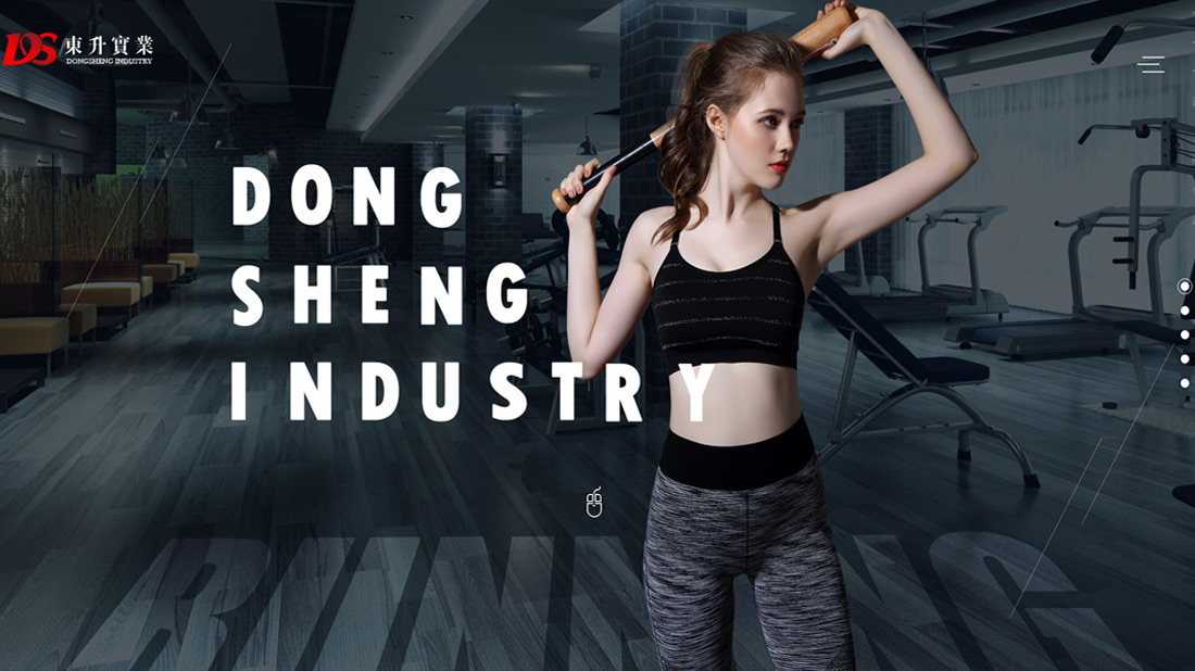 纺织服装/外贸进出口网站案例