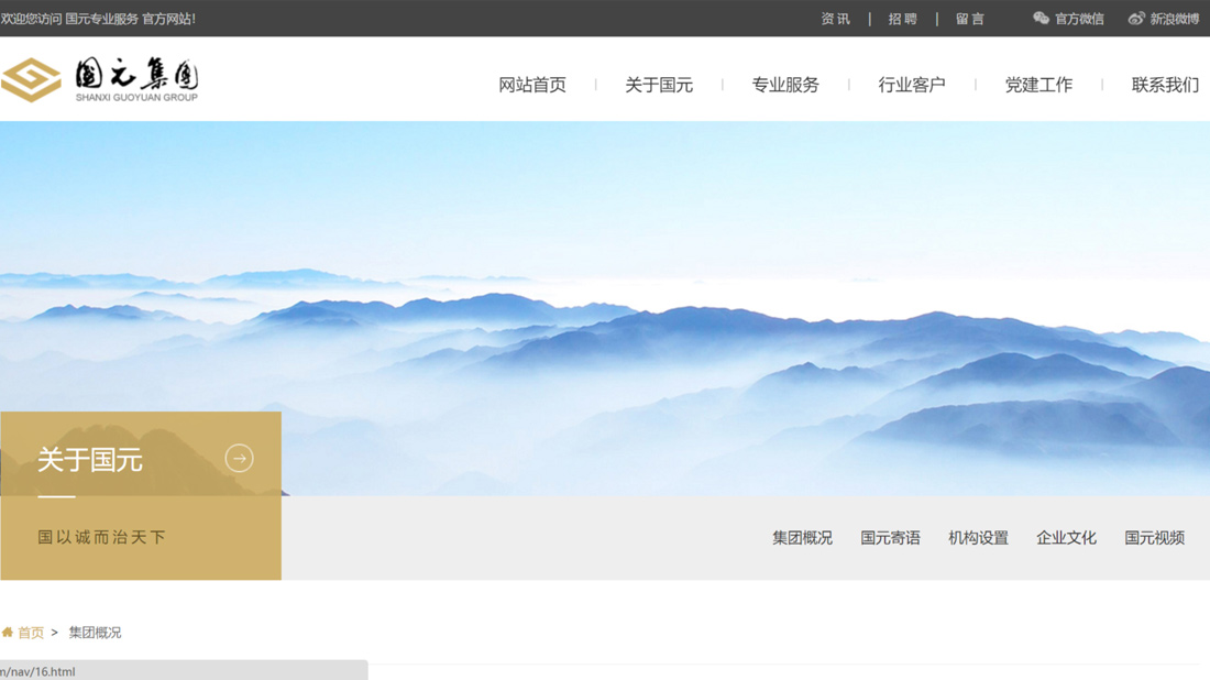 其它网站案例