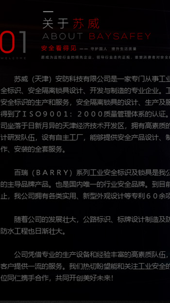 IT互联网网站案例