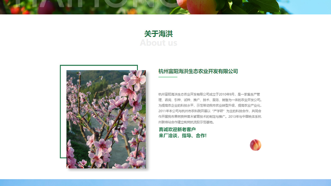 农副产品网站案例