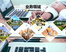 广西维宸投资管理有限公司