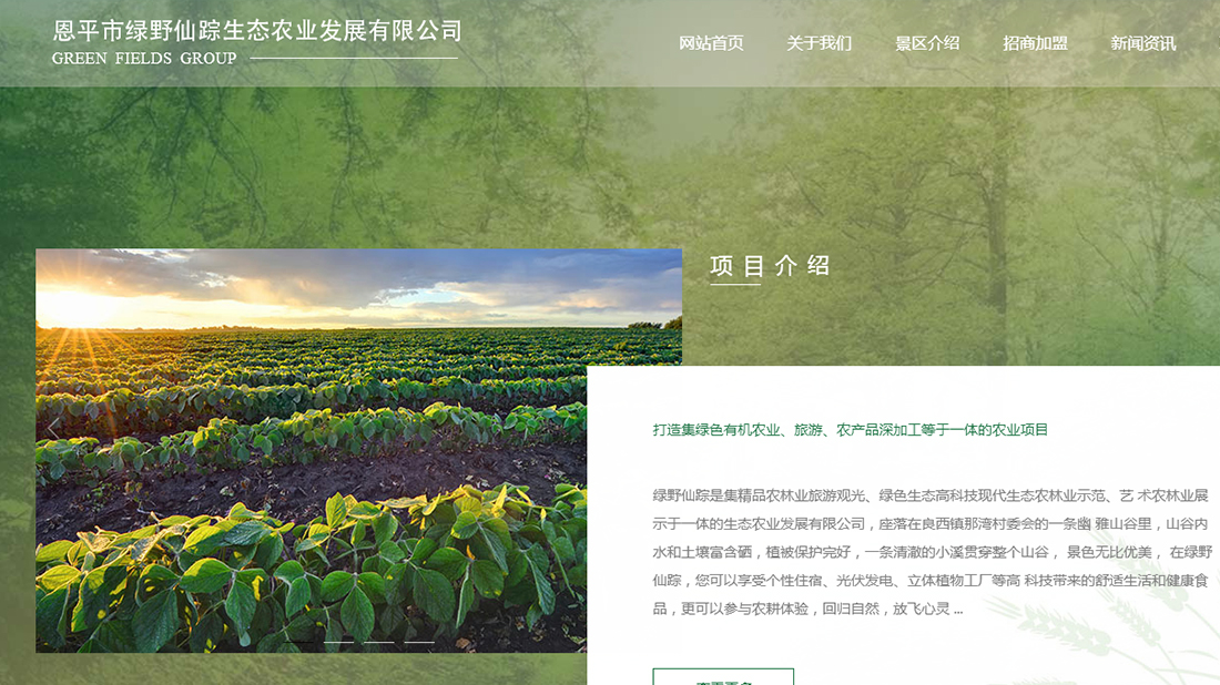 酒店旅游网站案例