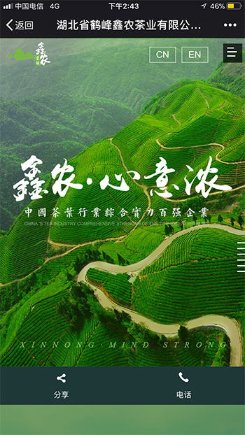 网站案例