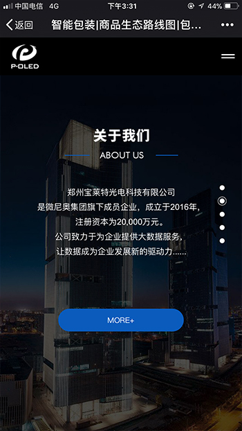 IT互联网网站案例