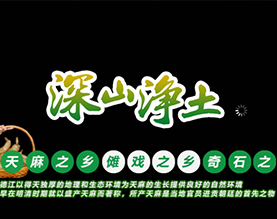 贵州德江县康奇药植开发有限责任公司