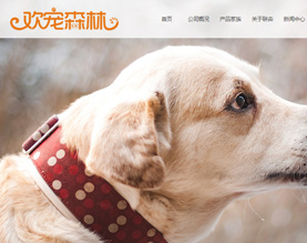 山东联森宠物食品有限公司