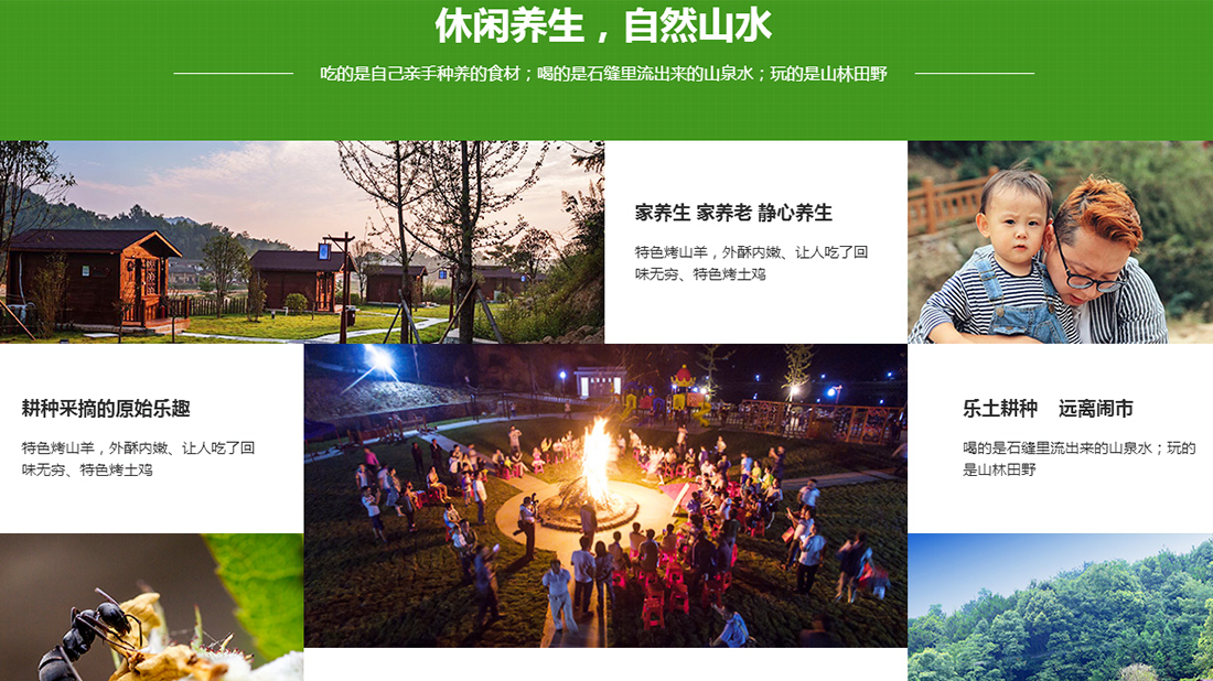 酒店旅游网站案例