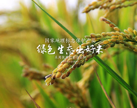 当阳市飞翔米业有限责任公司