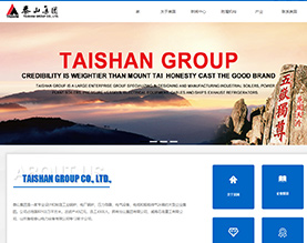 泰山集团股份有限公司