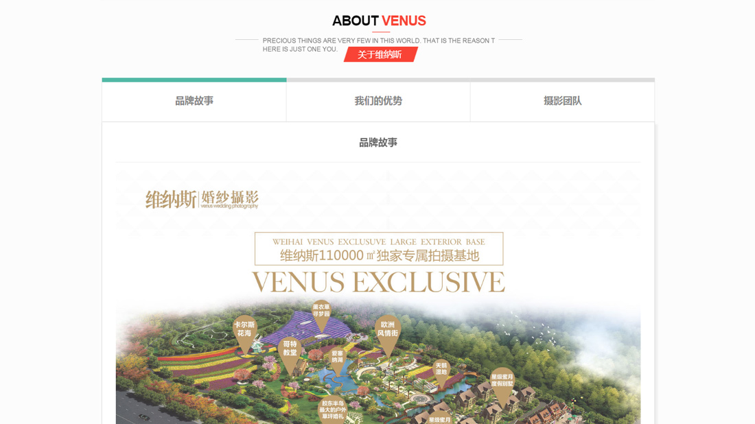 商业服务网站案例