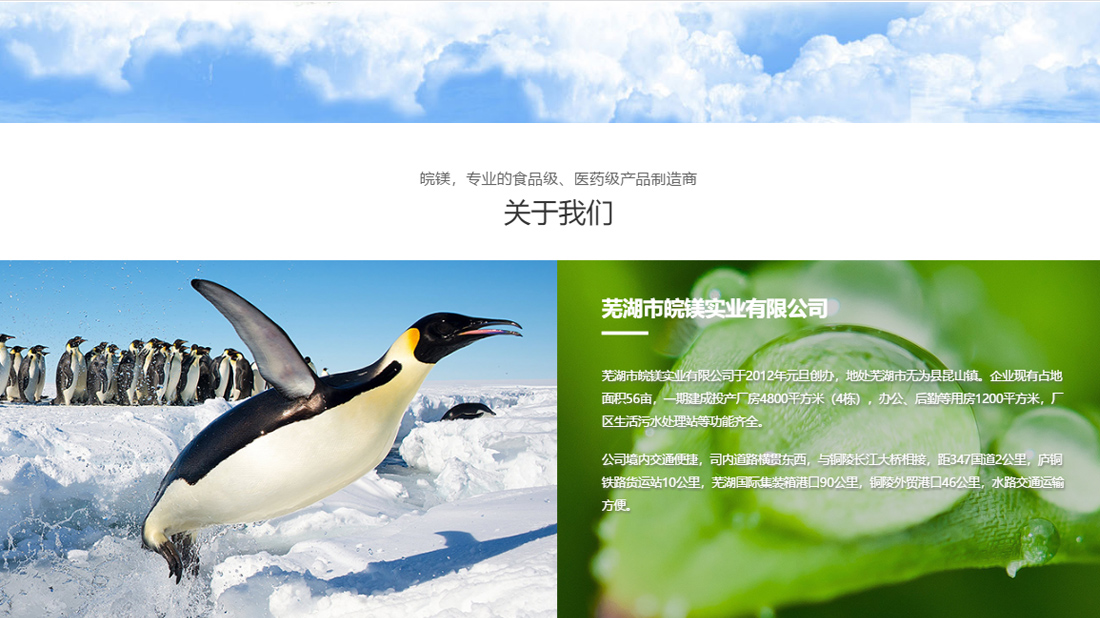 化学化工网站案例