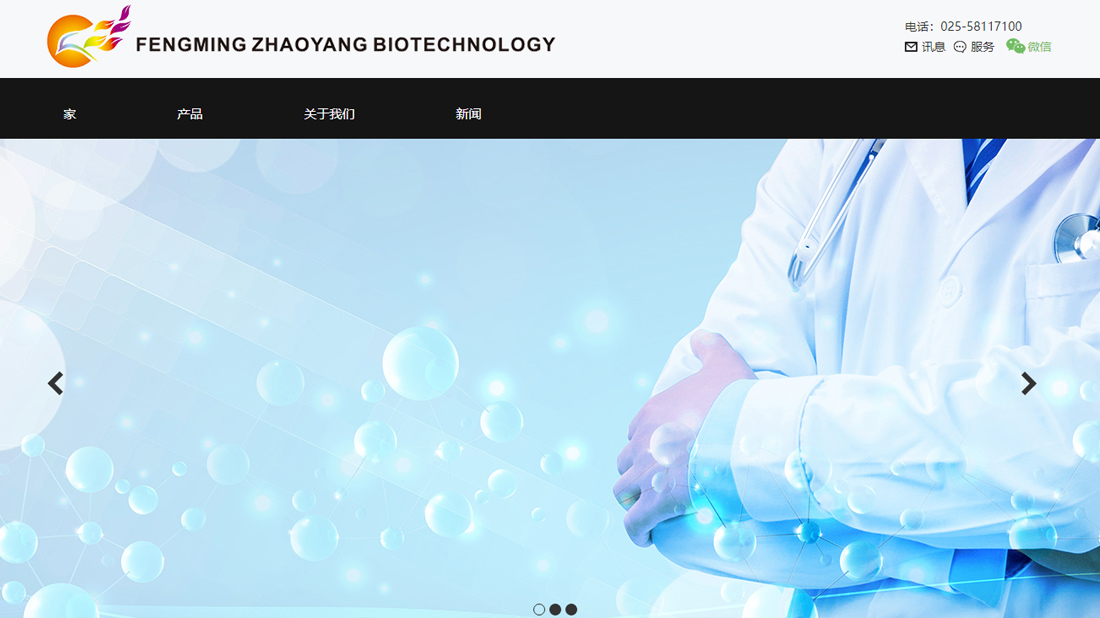 其它/外贸进出口网站案例