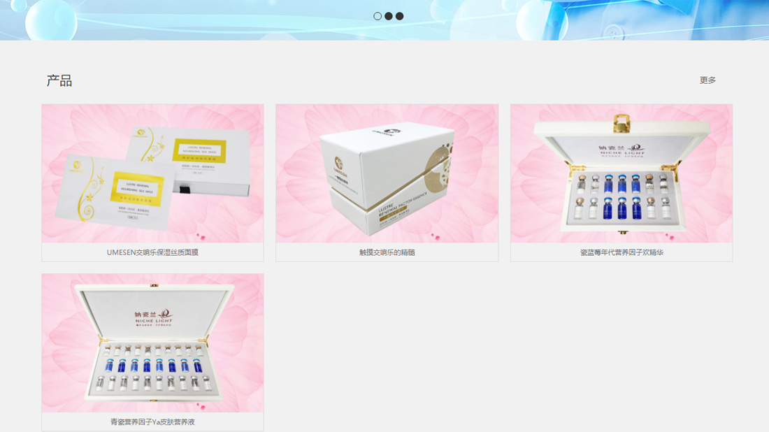 其它/外贸进出口网站案例