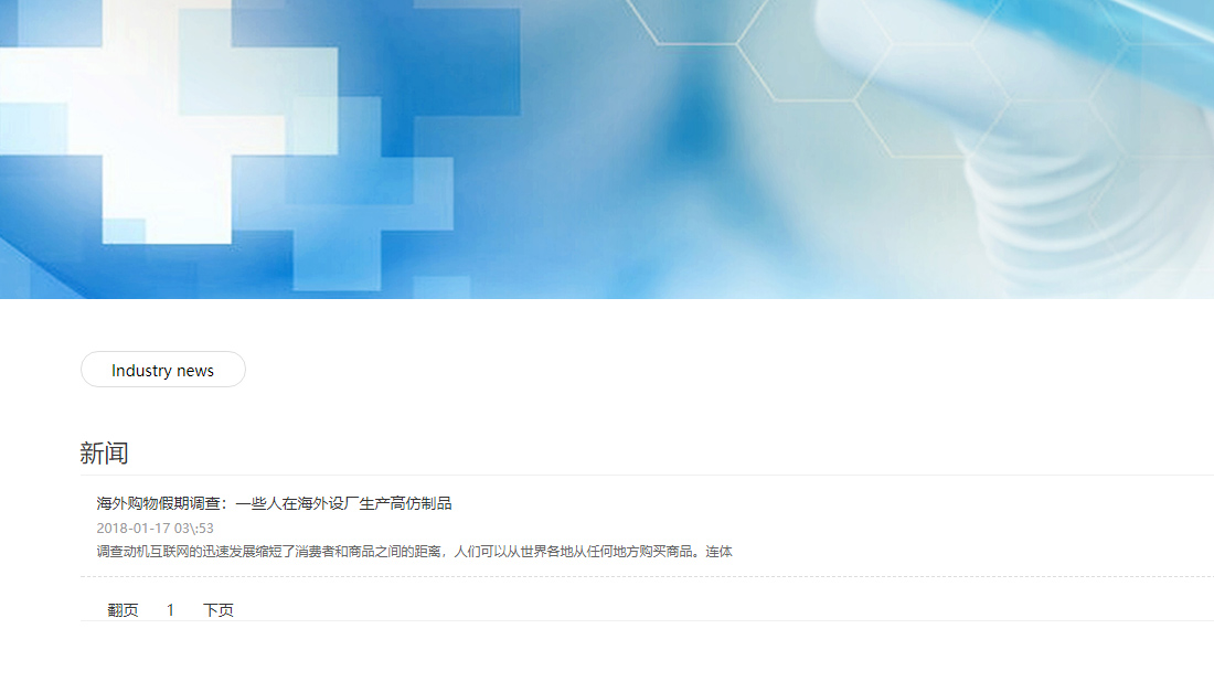 其它/外贸进出口网站案例