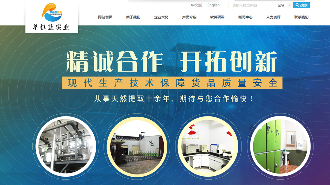 化学化工网站案例