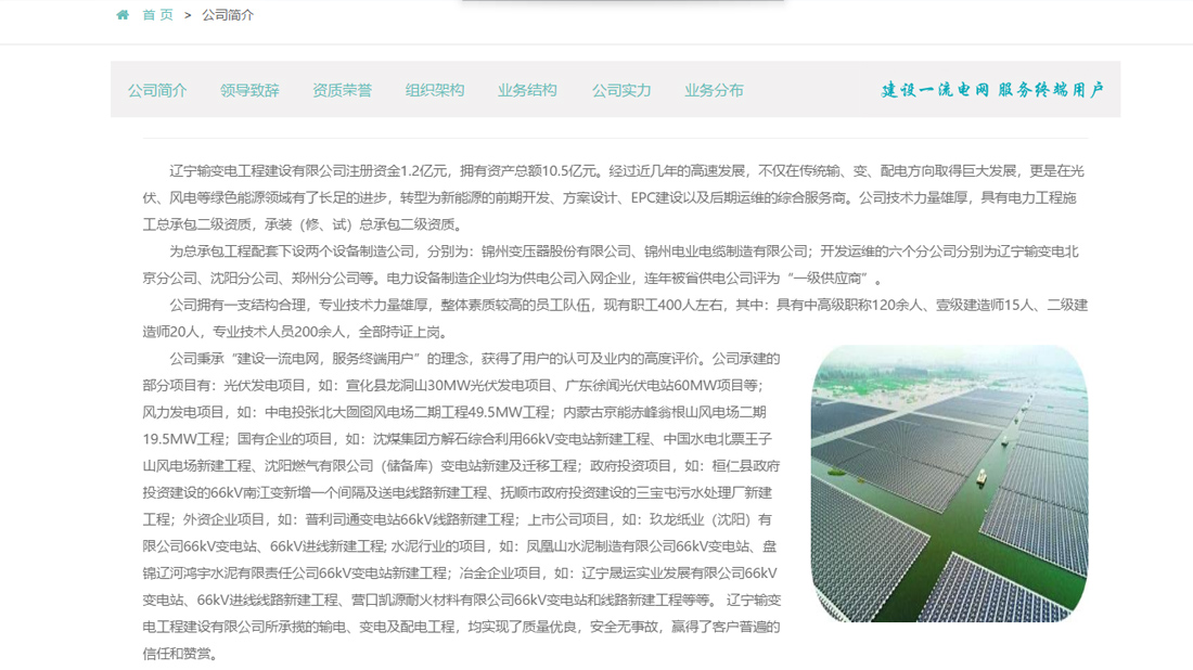电子电工网站案例