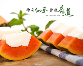 广西灵山县宇峰保健食品有限公司