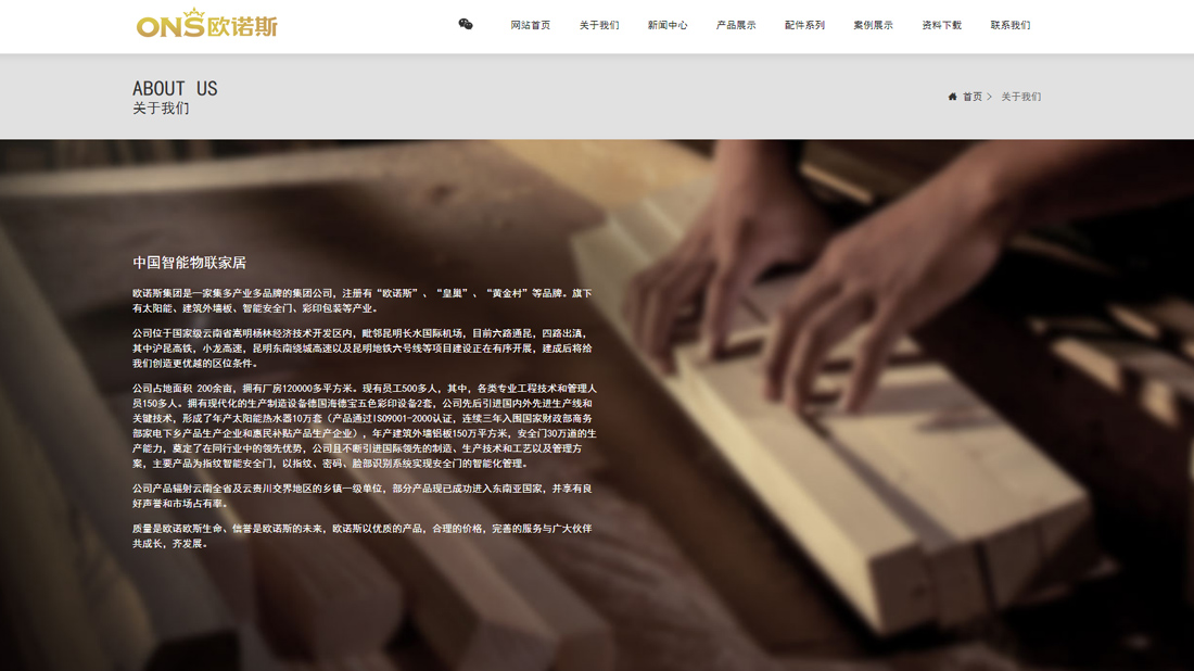 家装建材网站案例