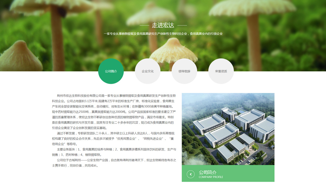 医疗健康网站案例