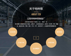 辽阳市特种泵制造厂