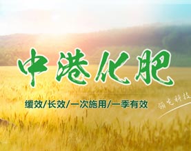 山东中港化肥股份有限公司