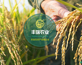 五常市丰瑞农业发展有限公司