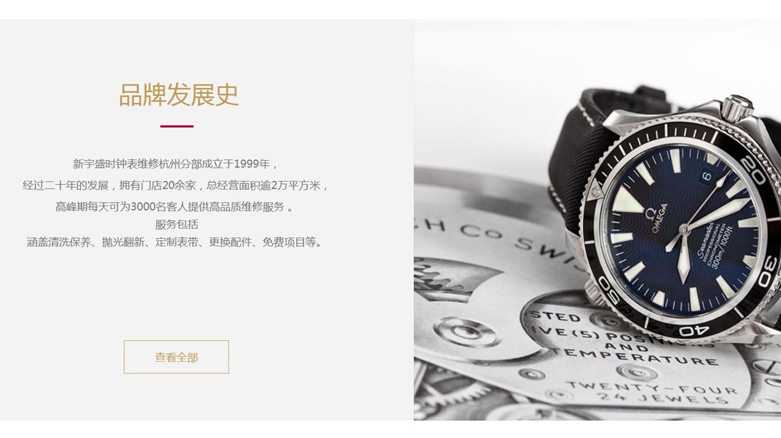 商业服务网站案例