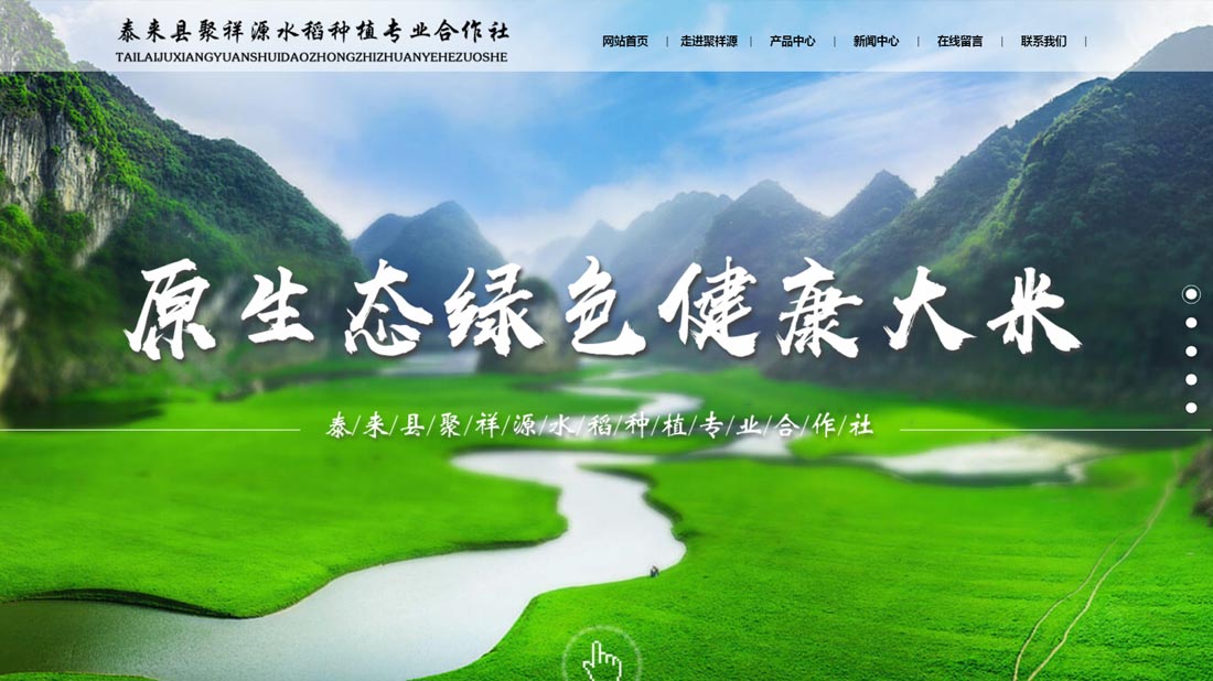 网站案例