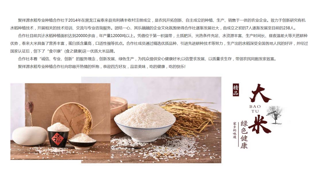 网站案例