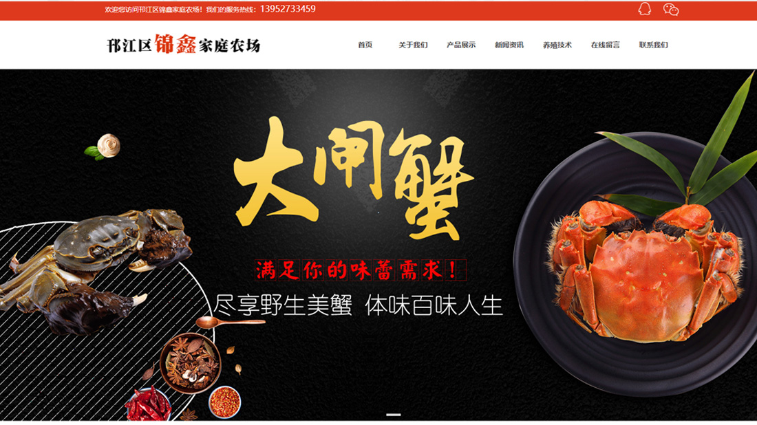 农副产品网站案例