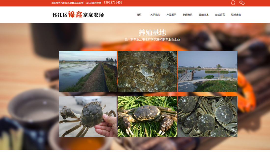 农副产品网站案例