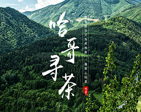 河南哈哥寻茶茶叶有限公司