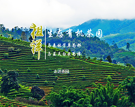 普洱祖祥高山茶园有限公司